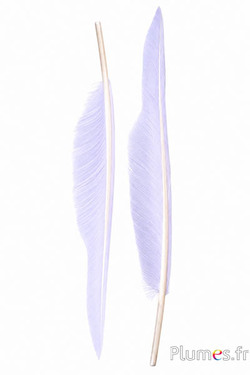Zwaan - 28-33 cm - wit